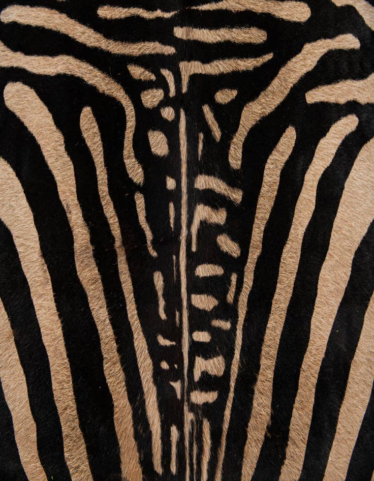 Detail image of  6' 4 x 6' 10 Cowhide Leather Freeform Rug