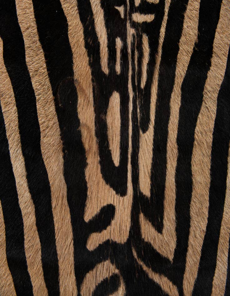 Detail image of  6' 4 x 6' 10 Cowhide Leather Freeform Rug