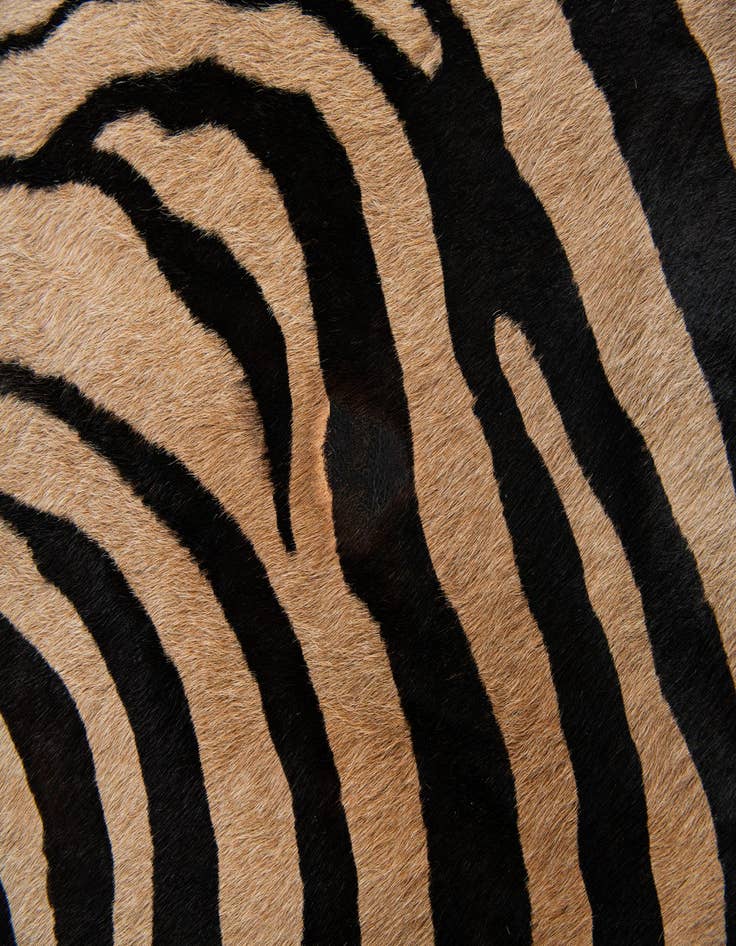 Detail image of  6' 4 x 6' 10 Cowhide Leather Freeform Rug