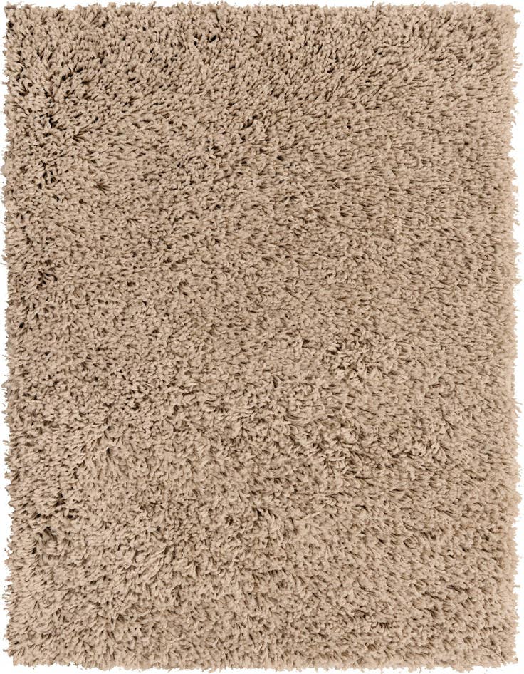 Detail image of  2' 2 x 3' Everyday Shag Rug