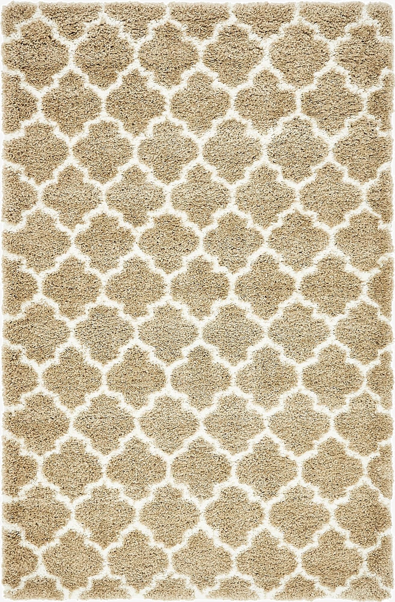  5' x 8' Moroccan Shag Rug