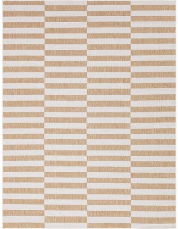 9' x 12' Washable Ribbon Indoor / Outdoor Rug