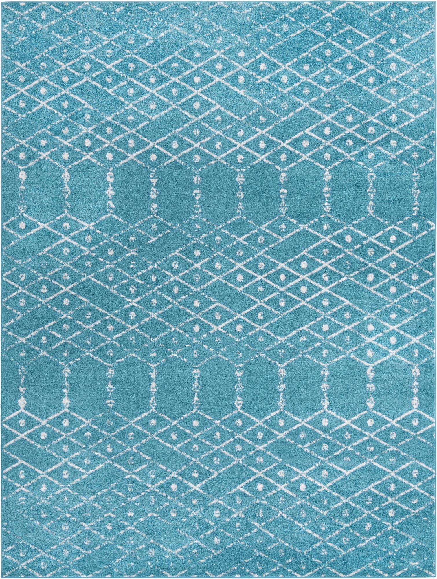  9' x 12' Paxon Trellis Rug