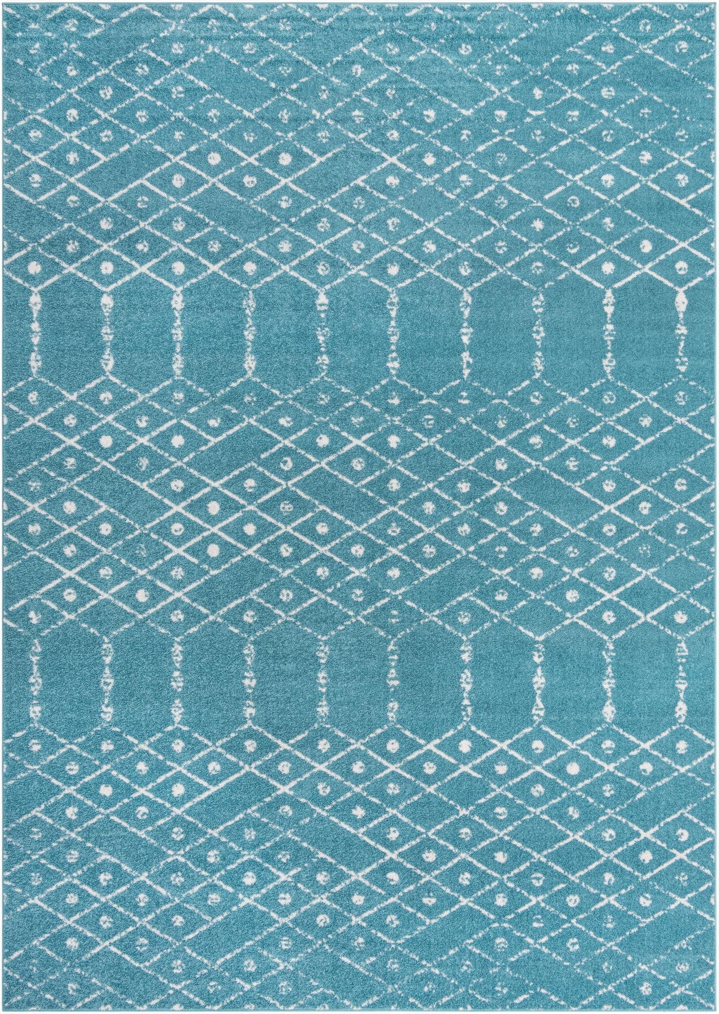  10' x 14' Paxon Trellis Rug