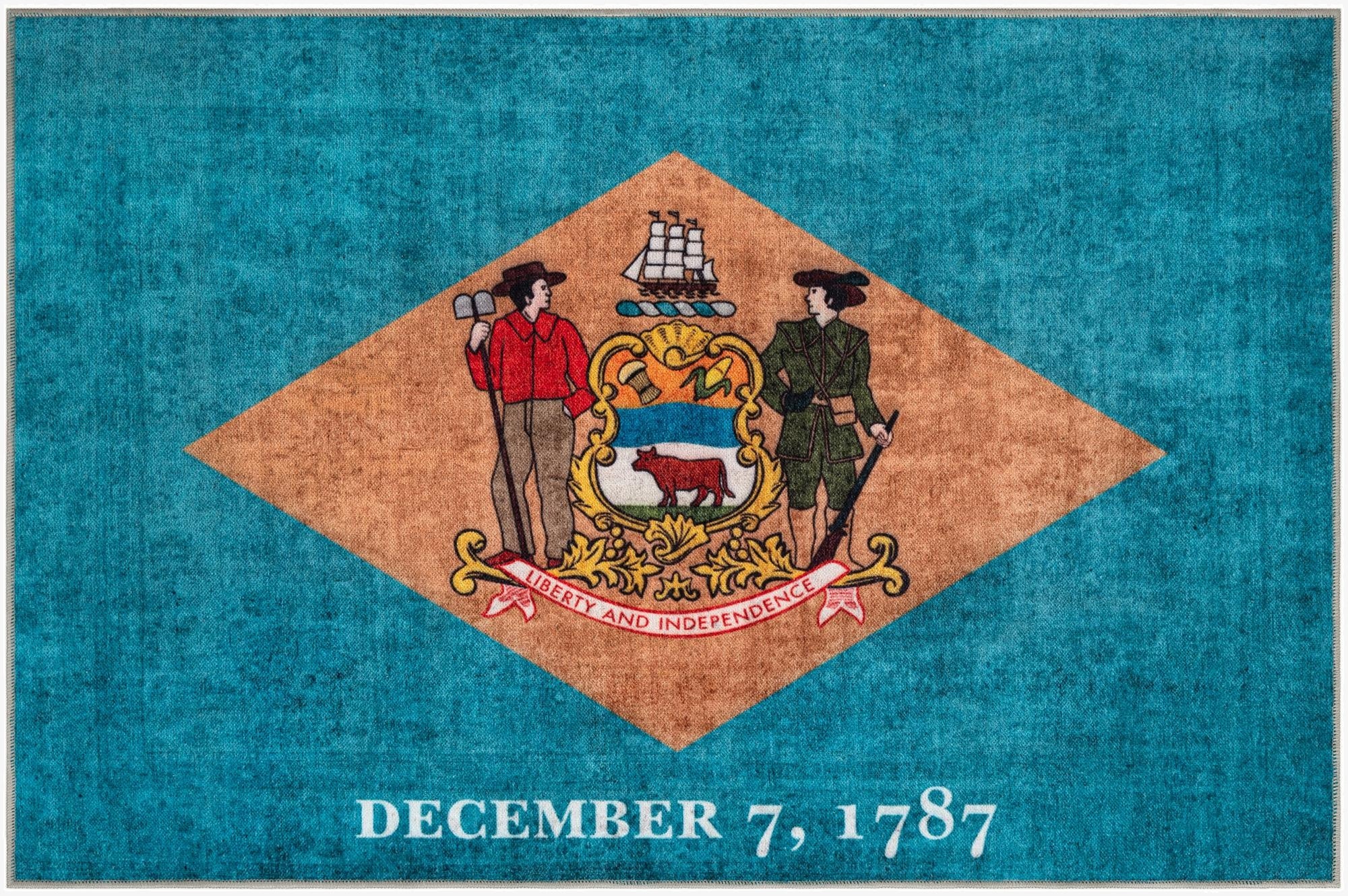 Primary image  8' x 11' Delaware The Flag Collection Rug