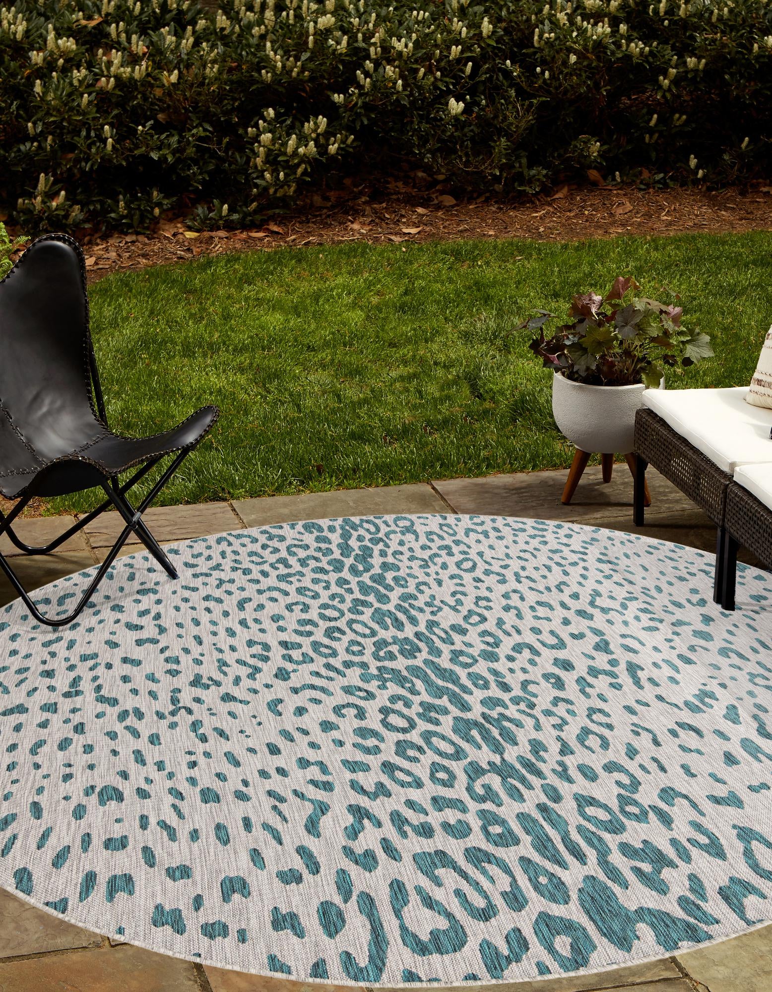 Rug Teal Swatch link