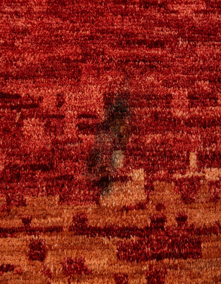 Detail image of  10' 3 x 13' 8  Hand Knotted Darya Rug