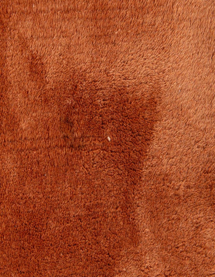 Detail image of  8' 2 x 10' 9  Hand Knotted Tibet Rug