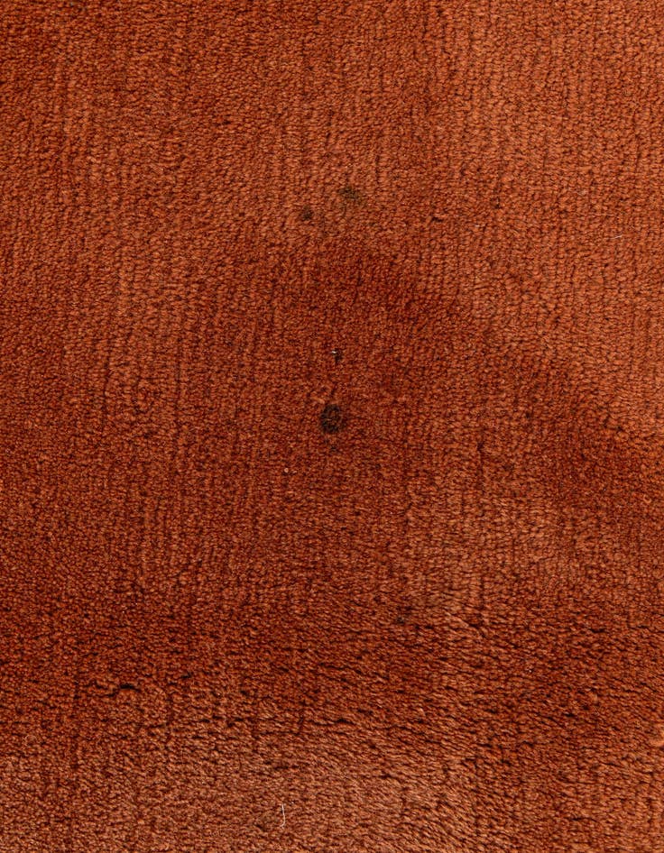 Detail image of  8' 2 x 10' 9  Hand Knotted Tibet Rug