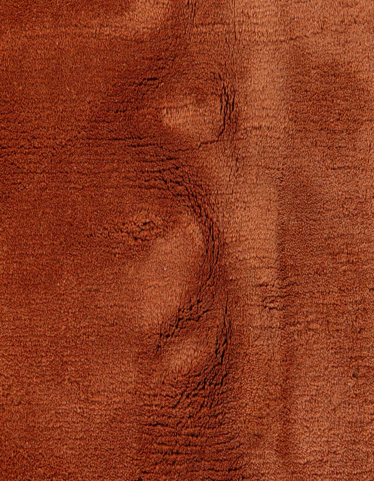 Detail image of  8' 2 x 10' 9  Hand Knotted Tibet Rug