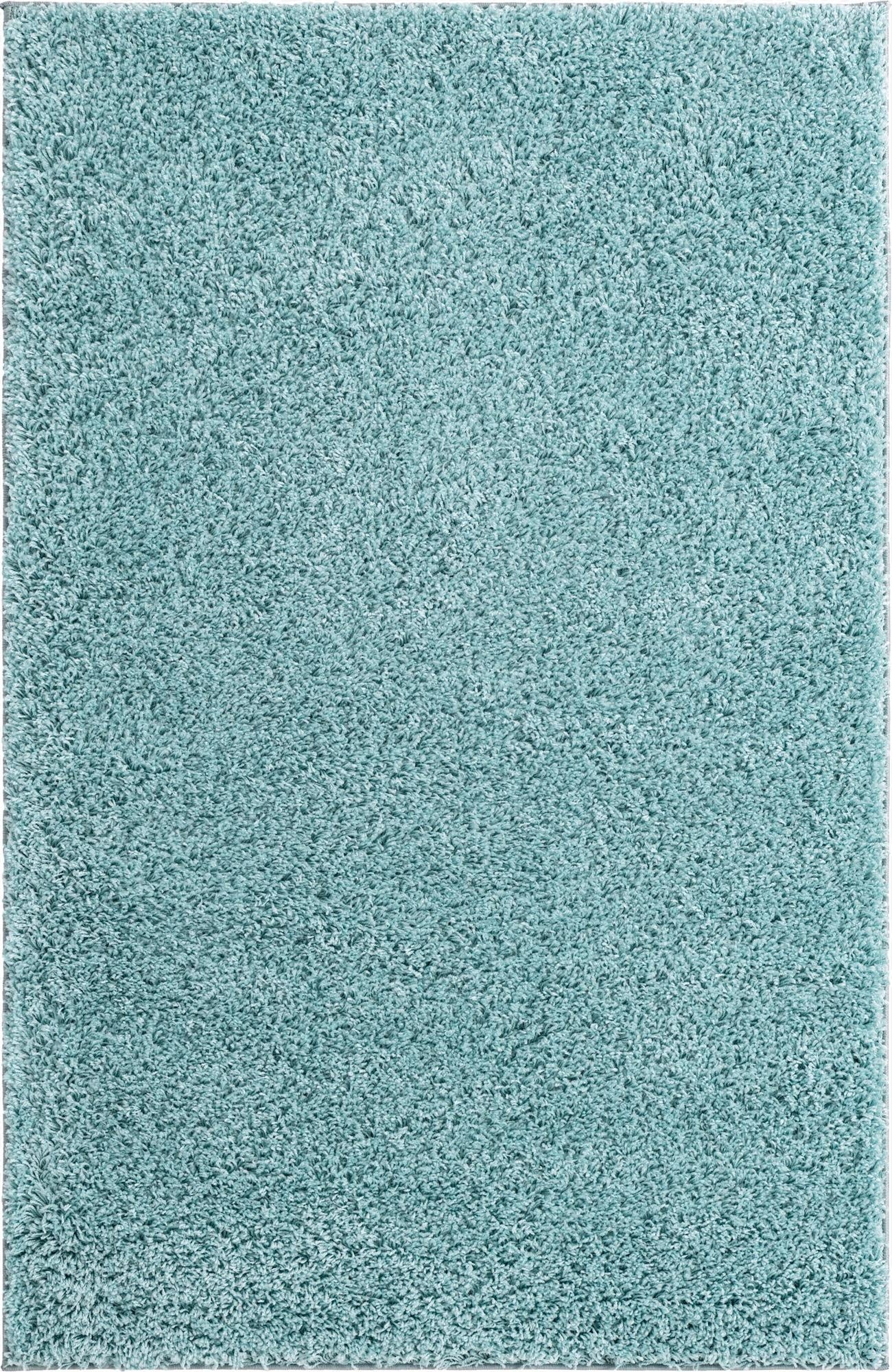  4' x 6' Everyday Shag Rug