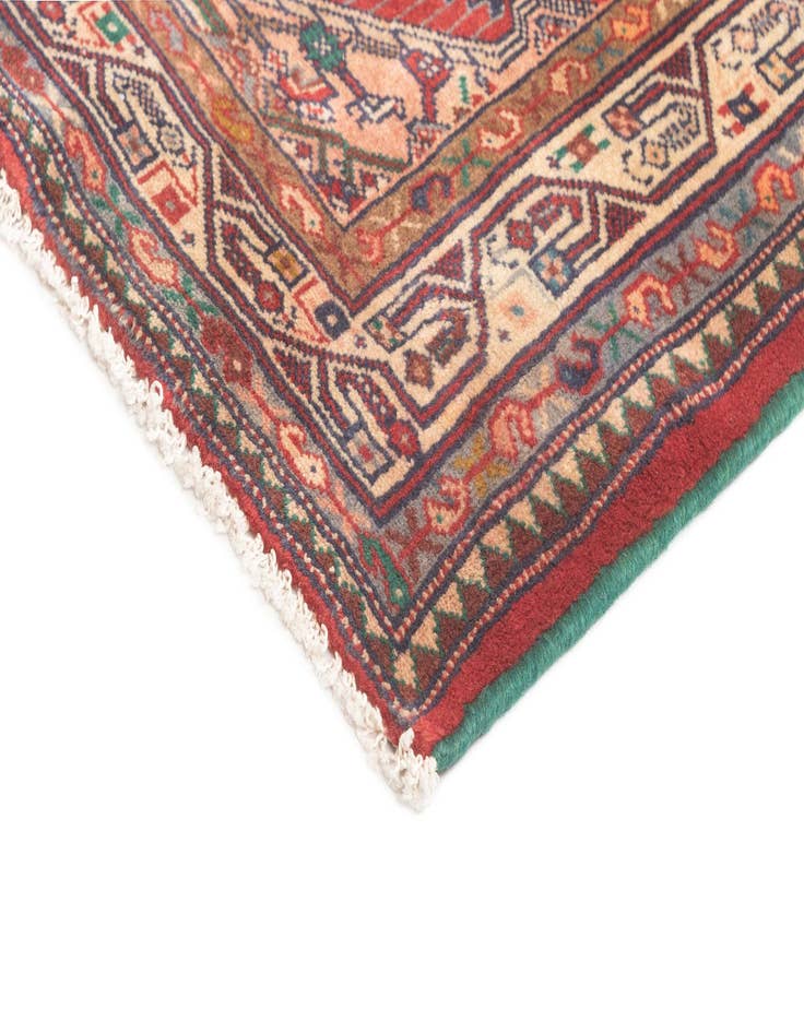 Detail image of  4' 3 x 10' 3 Hamedan Runner Rug