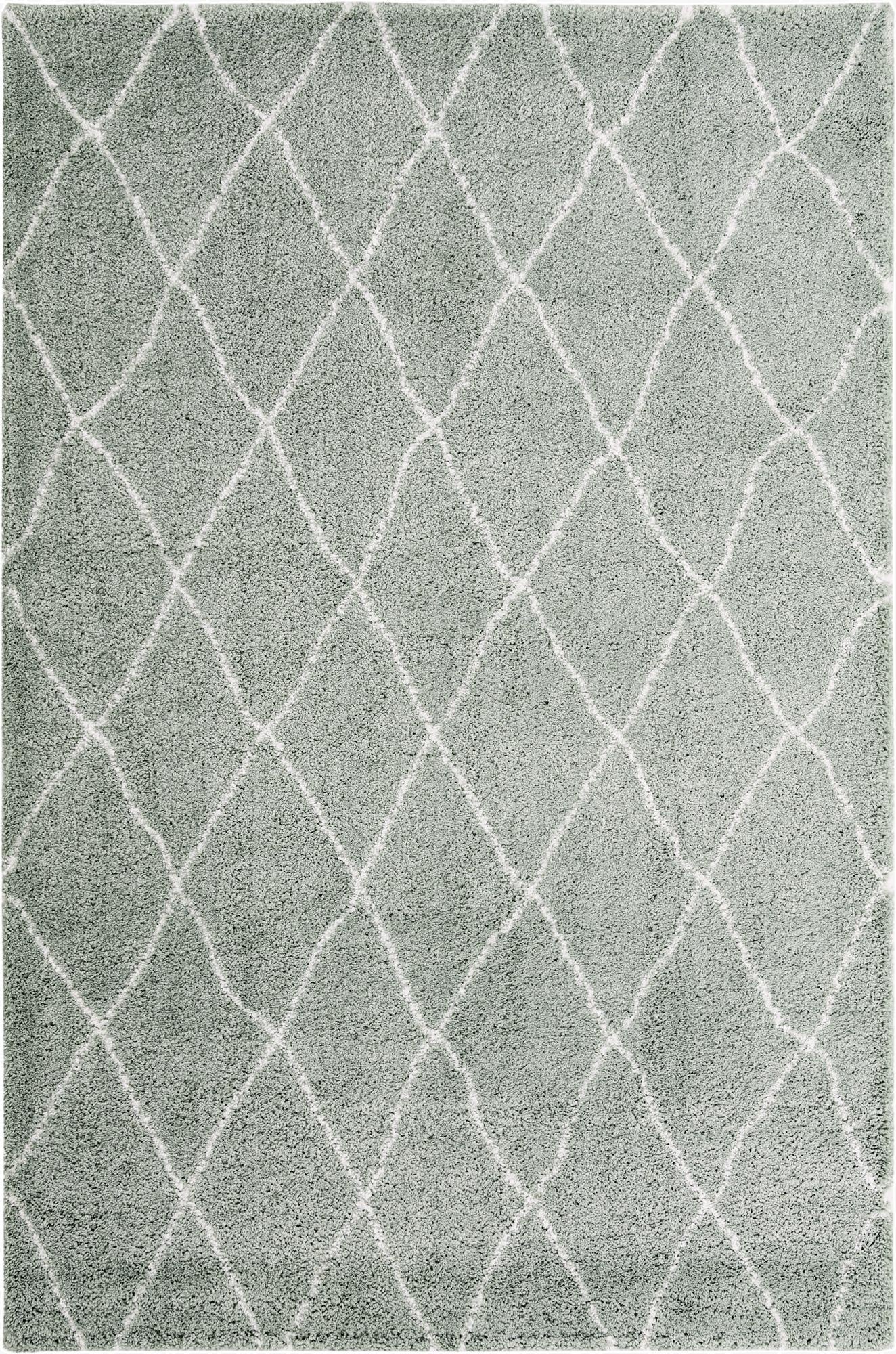  5' 3 x 8' Moroccan Shag Rug