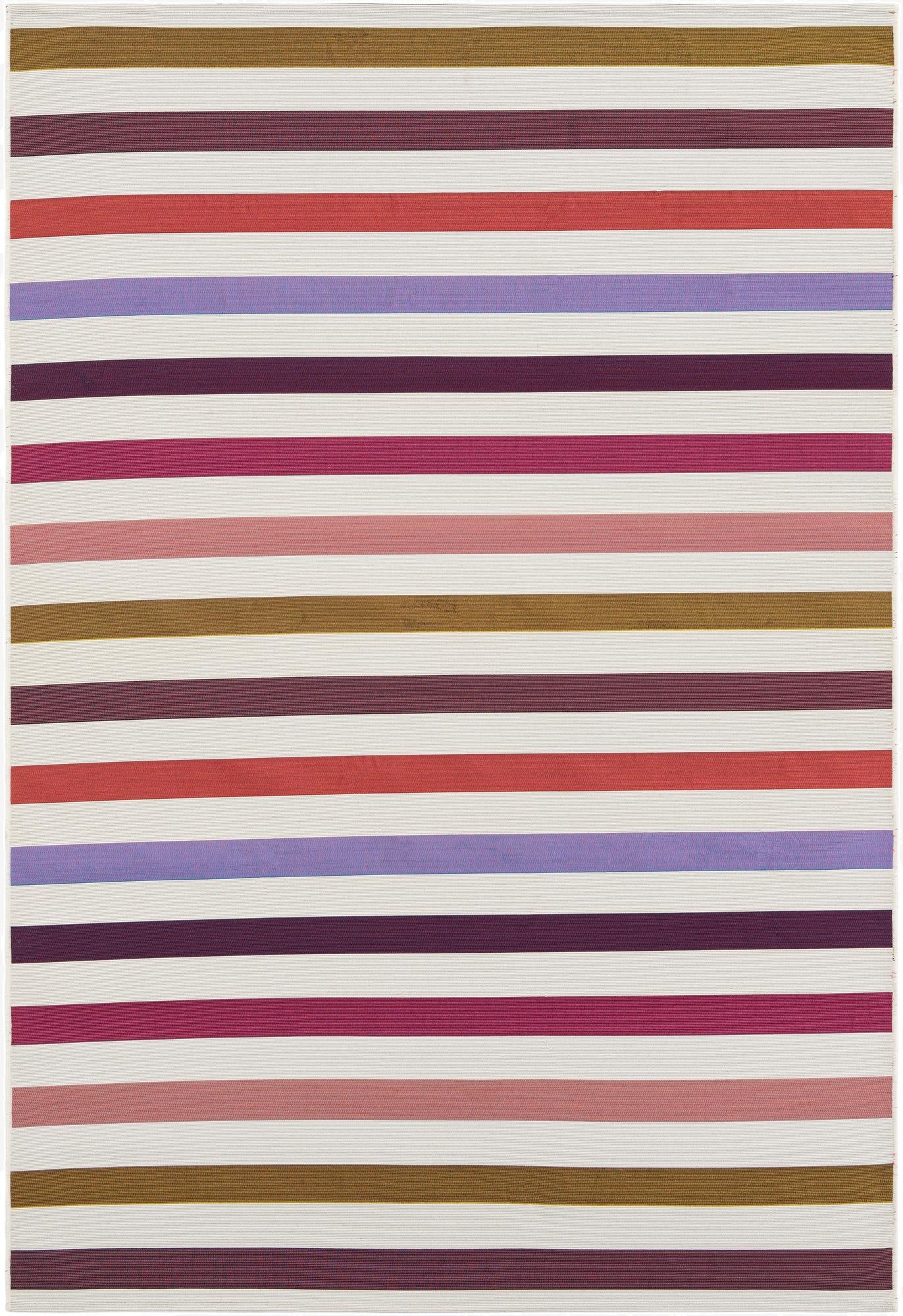  6' x 9'  Washable Ribbon Indoor / Outdoor Rug