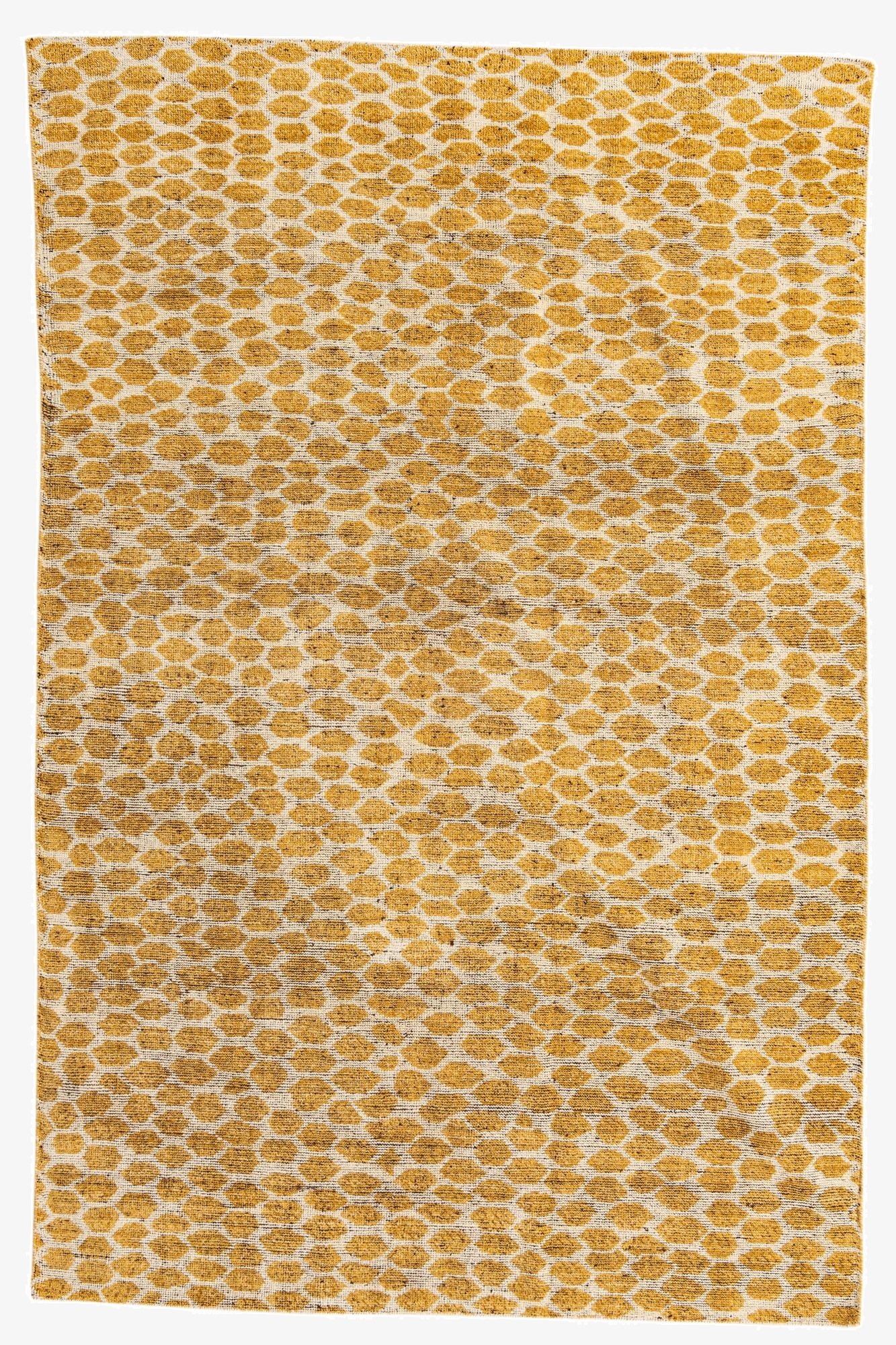  6' x 9' 2  Hand Knotted Darya Wool Rug