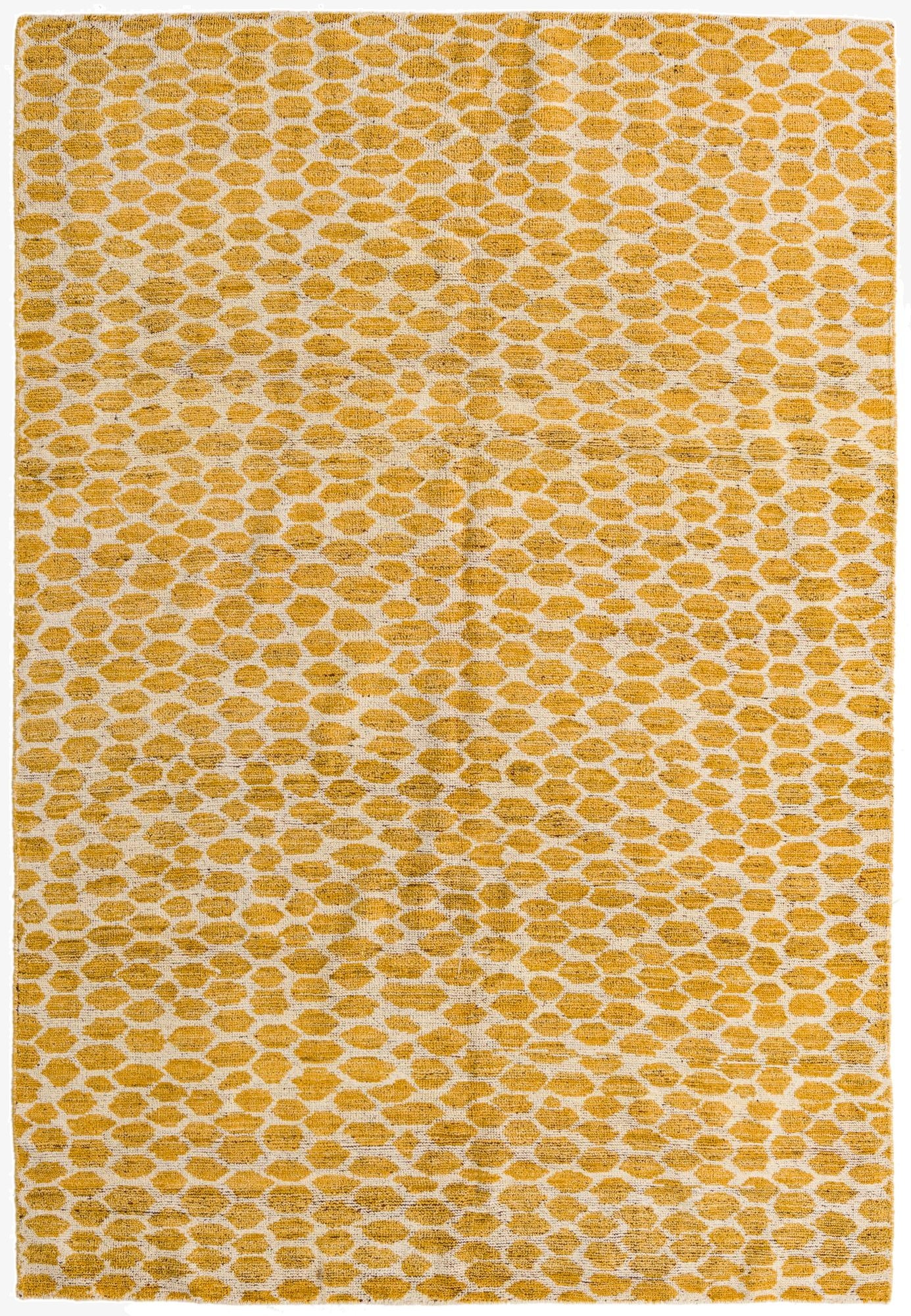  6' x 9'  Hand Knotted Darya Wool Rug