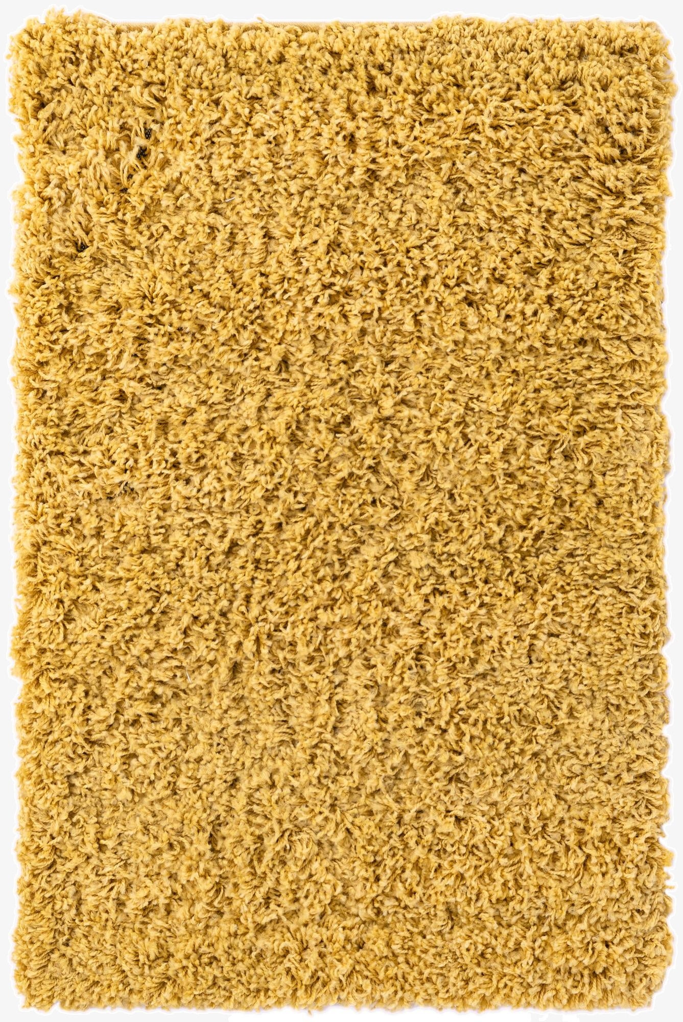  2' 2 x 3' Everyday Shag Rug