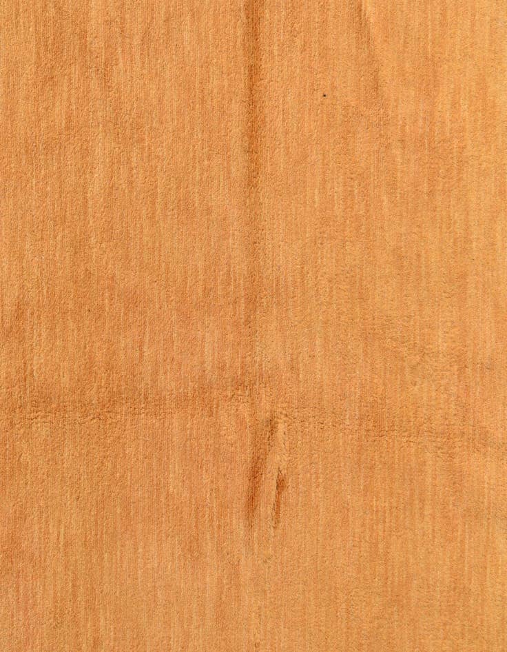 Detail image of  3' 2 x 4' 10  Hand Knotted Kashkuli Gabbeh Oriental Wool Rug