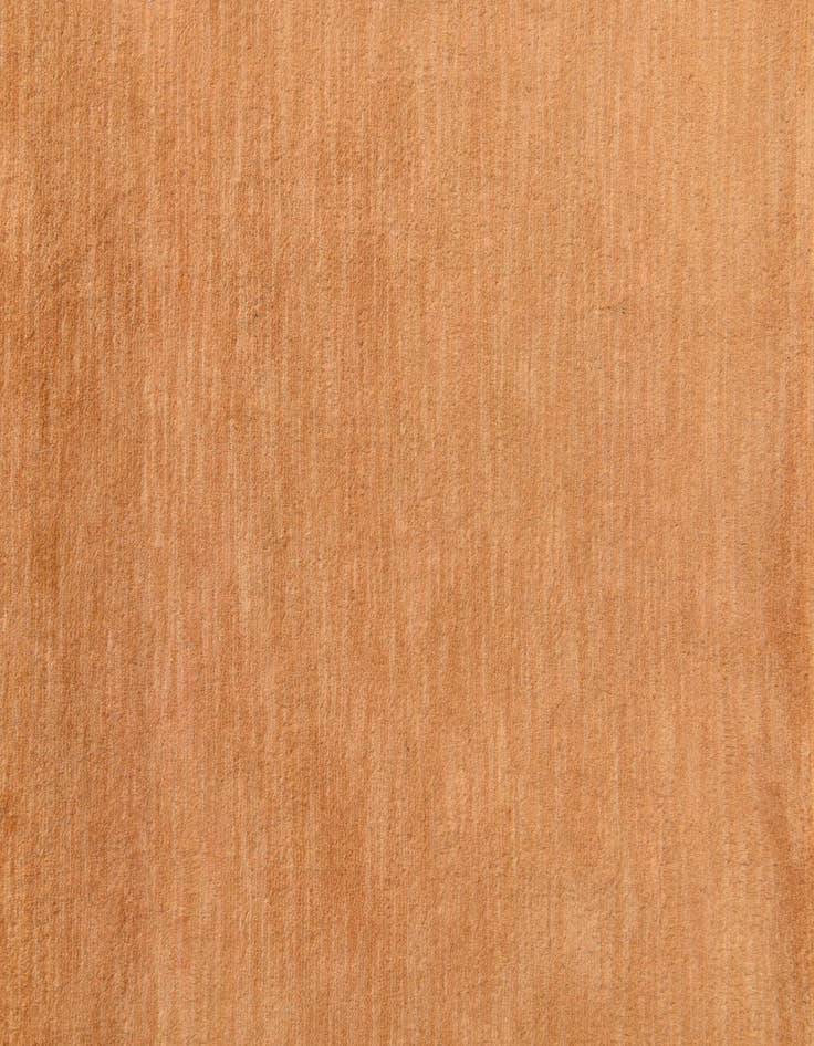 Detail image of  3' 1 x 5' 2  Hand Knotted Kashkuli Gabbeh Oriental Wool Rug