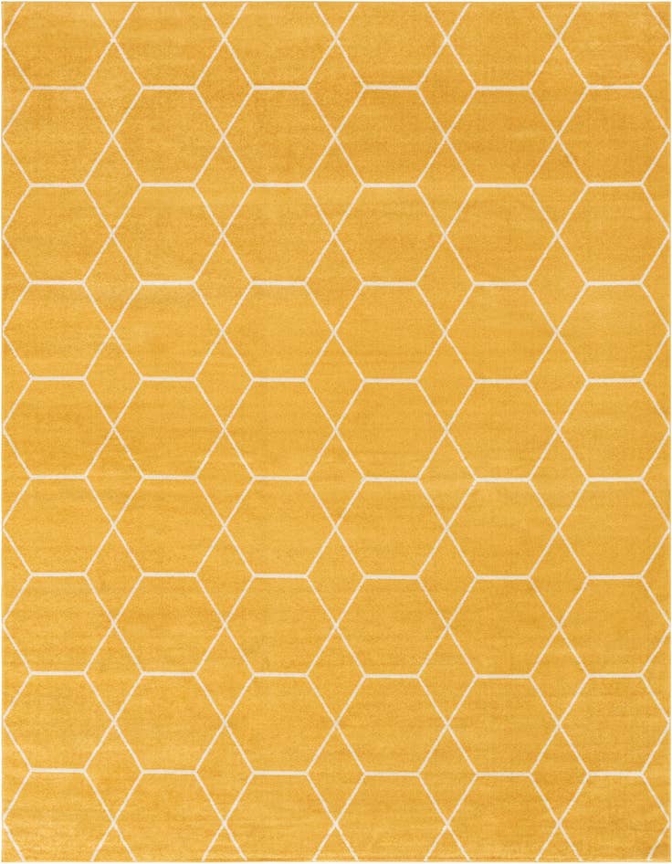 Detail image of  7' 10 x 11' Lattice Frieze Rug