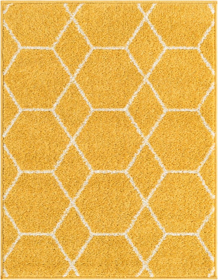 Detail image of  2' x 3' Lattice Frieze Rug