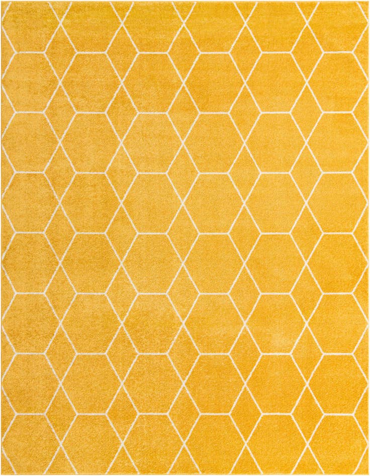 Detail image of  10' x 13' Lattice Frieze Rug