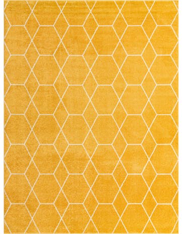 10' x 13' Lattice Frieze Rug