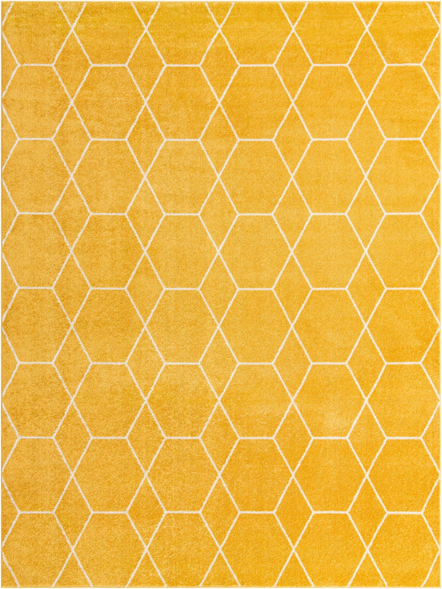  10' x 13' Lattice Frieze Rug