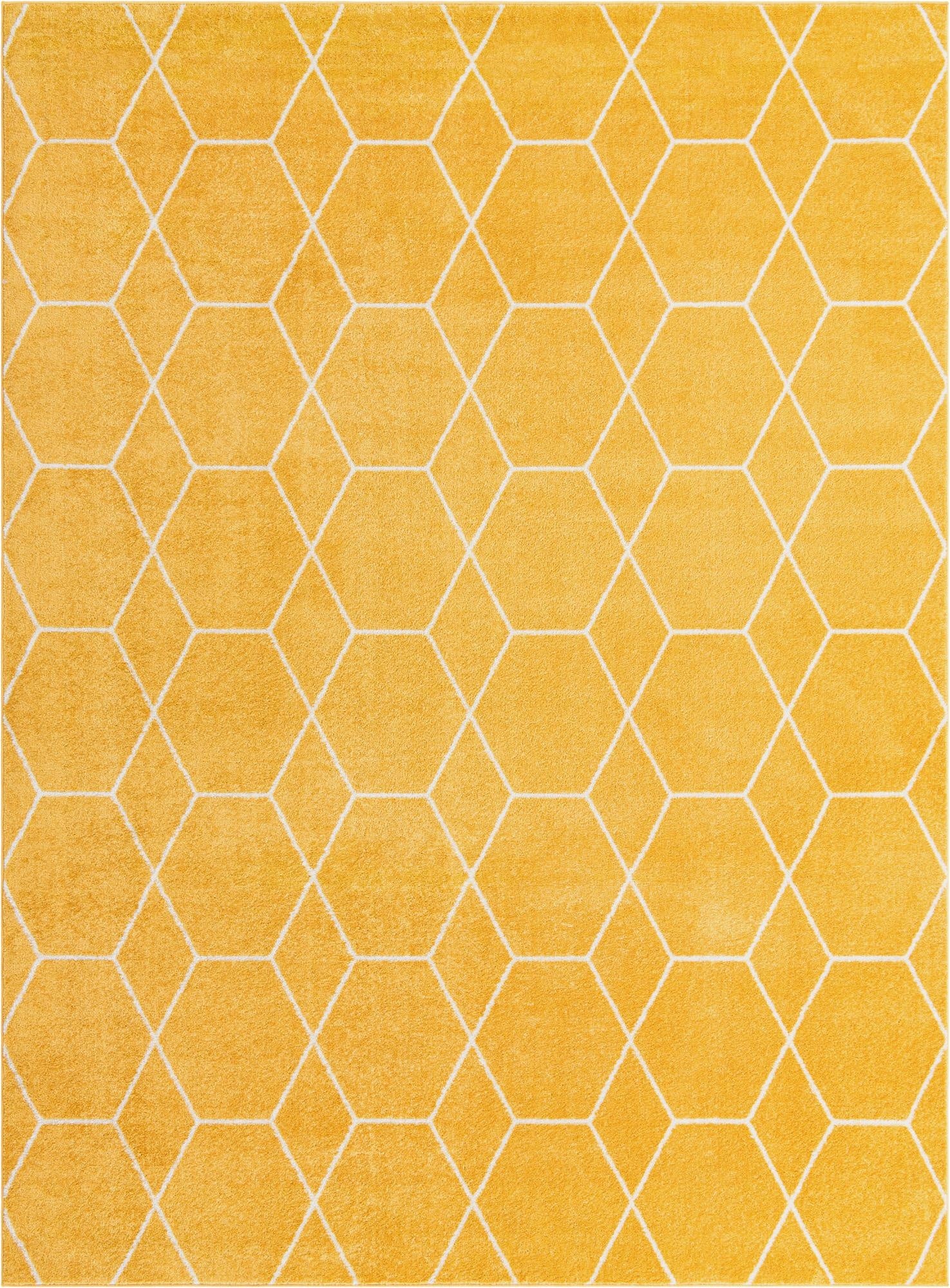  9' x 12' Lattice Frieze Rug