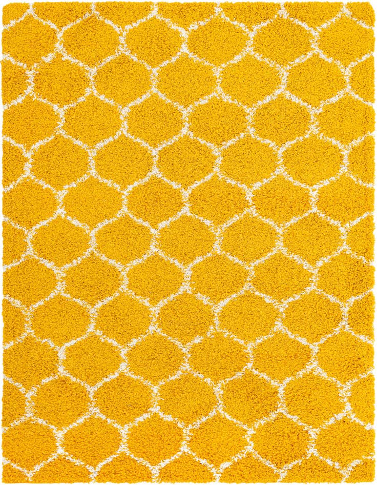Detail image of  10' x 13' Lattice Shag Rug
