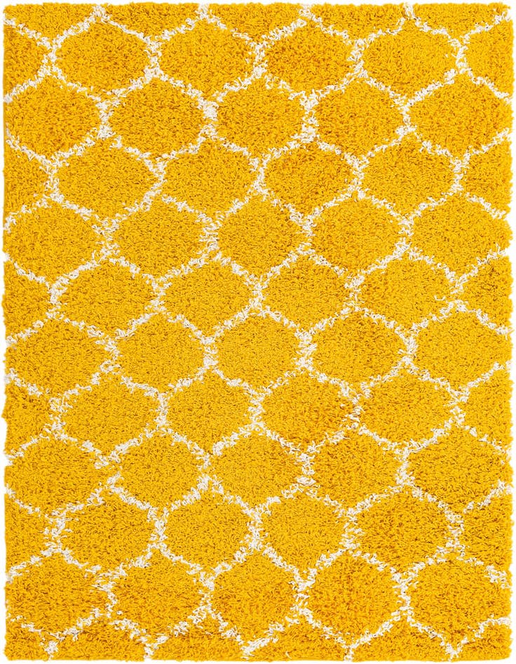 Detail image of  4' x 6' Lattice Shag Rug
