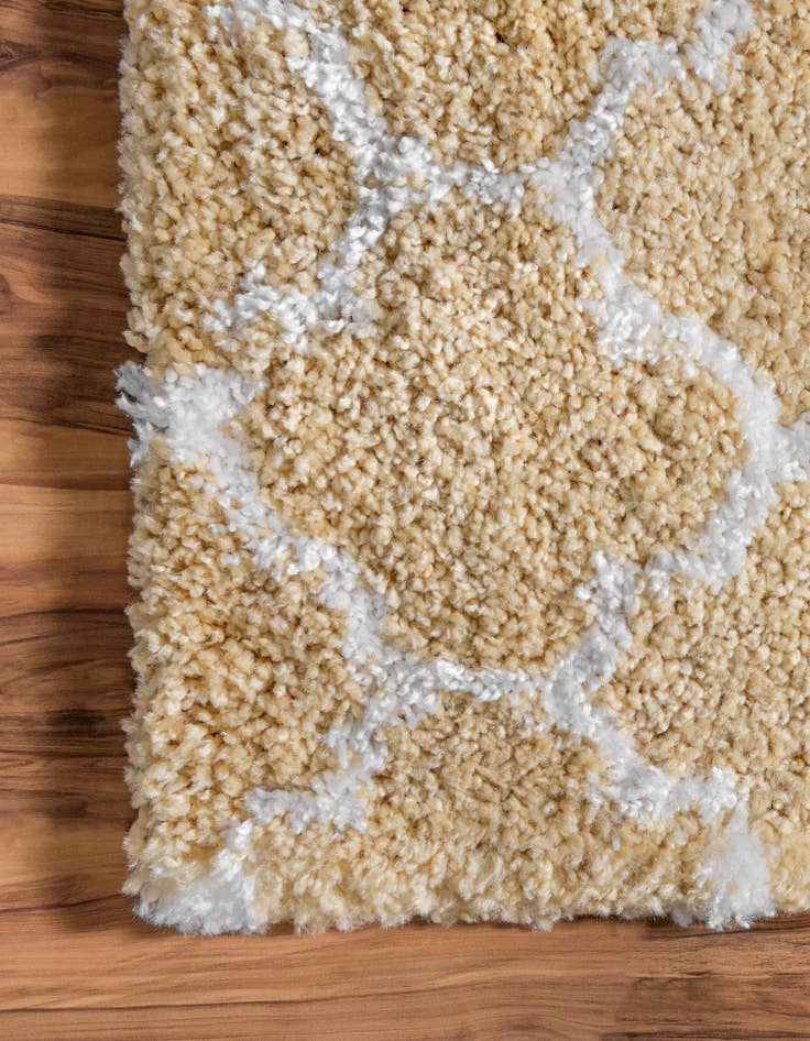 Detail image of  5' x 8' Moroccan Shag Rug