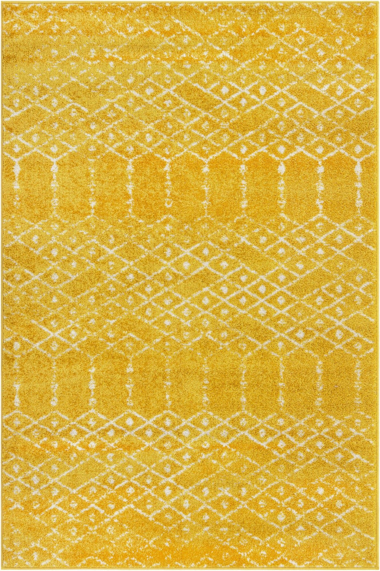  4' x 6' Paxon Trellis Rug