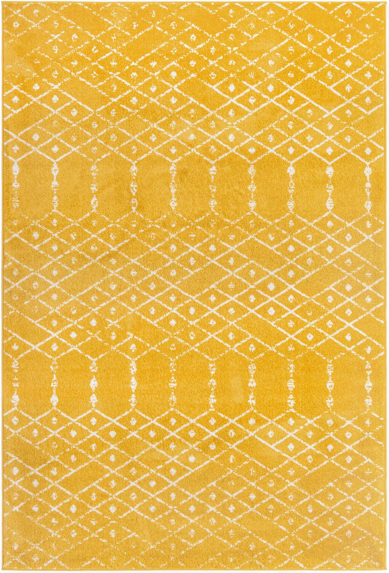  6' x 9' Paxon Trellis Rug