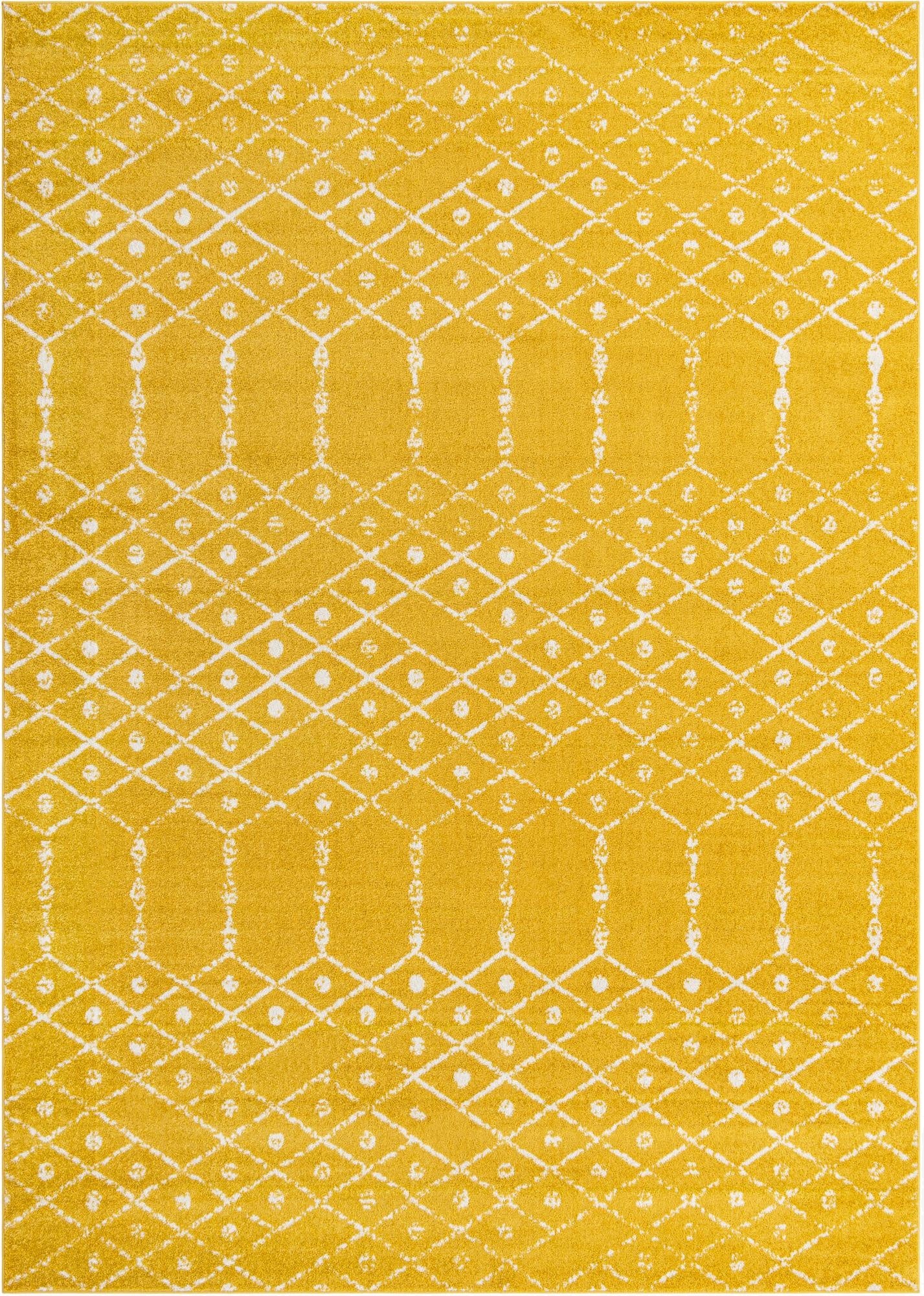  10' x 14' Paxon Trellis Rug