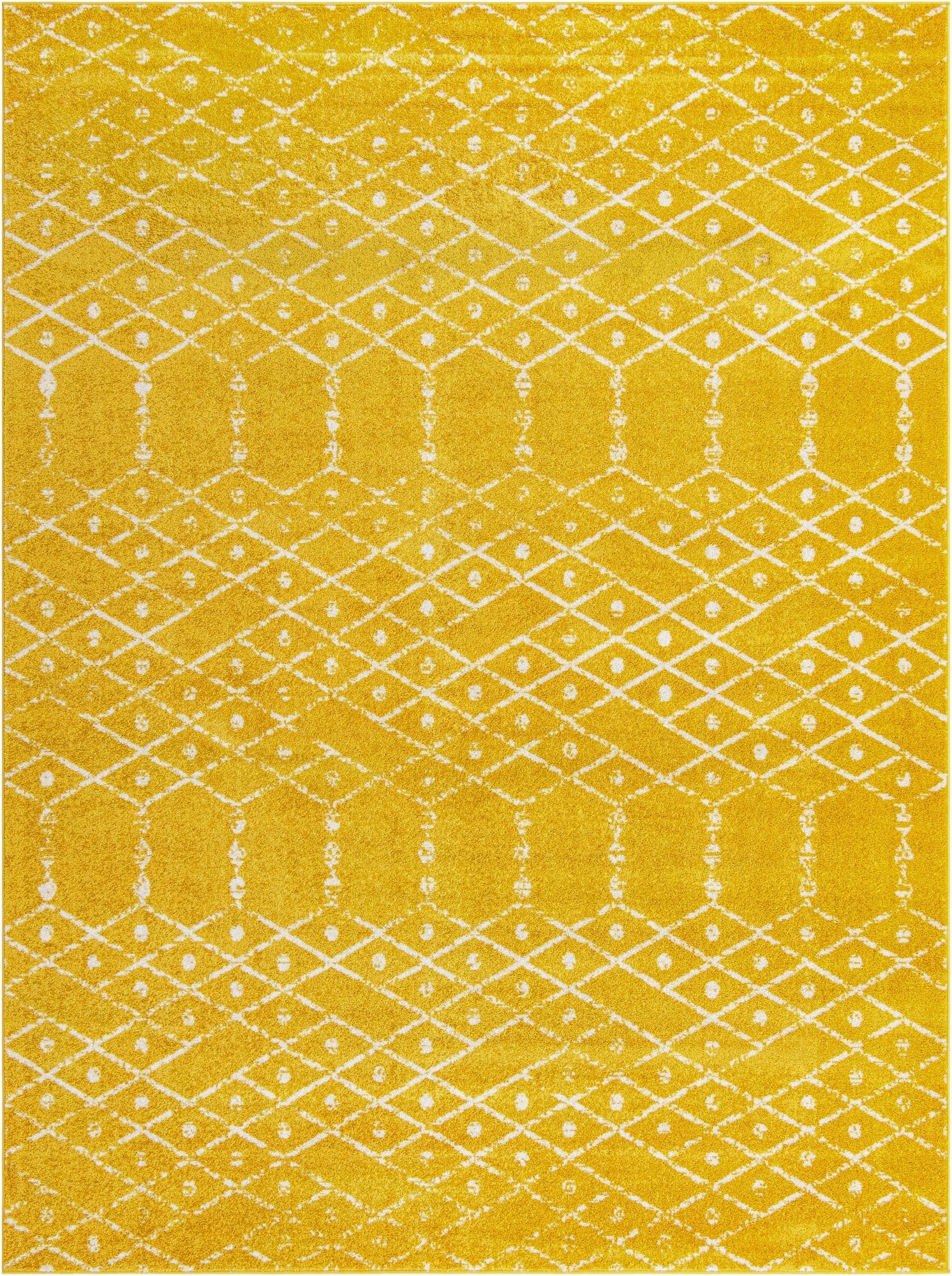  9' x 12' Paxon Trellis Rug