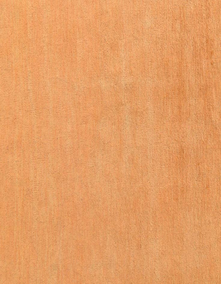 Detail image of  5' 8 x 8'  Hand Knotted Peshawar Ziegler Rug