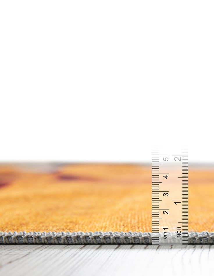 Detail image of  5' x 7' New Mexico The Flag Collection Rug