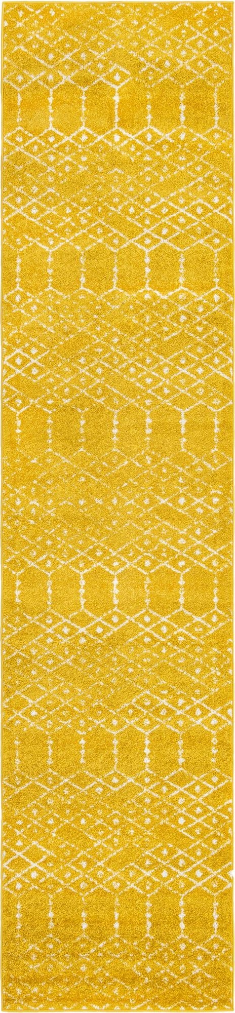  3' x 13' Paxon Trellis Runner Rug